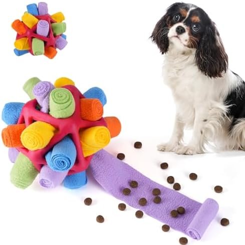 412vKatiZkLACjpg Prime Day Promo