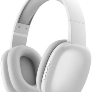 Gabba Goods Wireless Over Ear Bluetooth Headphones with Microphone - Wireless Headset -Noise Reduction - Bluetooth, Wired,Built in Micro SD for Travel, Home, Work TV,PC,Gaming,Cellphone (Silver)
