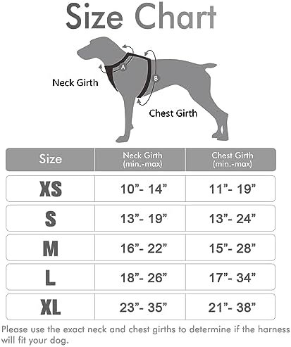 rabbitgoo Dog Harness, No-Pull Pet Harness with 2 Leash Clips, Adjustable Soft Padded Dog Vest, Reflective No-Choke Pet Oxford Vest with Easy Control Handle for Medium Dogs, Grey, M - Image 7