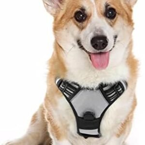 rabbitgoo Dog Harness, No-Pull Pet Harness with 2 Leash Clips, Adjustable Soft Padded Dog Vest, Reflective No-Choke Pet Oxford Vest with Easy Control Handle for Medium Dogs, Grey, M