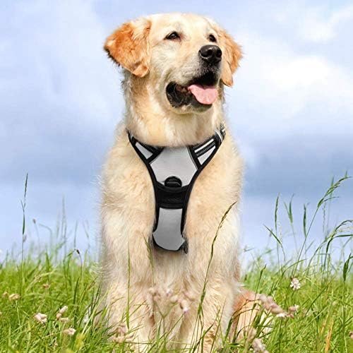 rabbitgoo Dog Harness, No-Pull Pet Harness with 2 Leash Clips, Adjustable Soft Padded Dog Vest, Reflective No-Choke Pet Oxford Vest with Easy Control Handle for Medium Dogs, Grey, M - Image 9