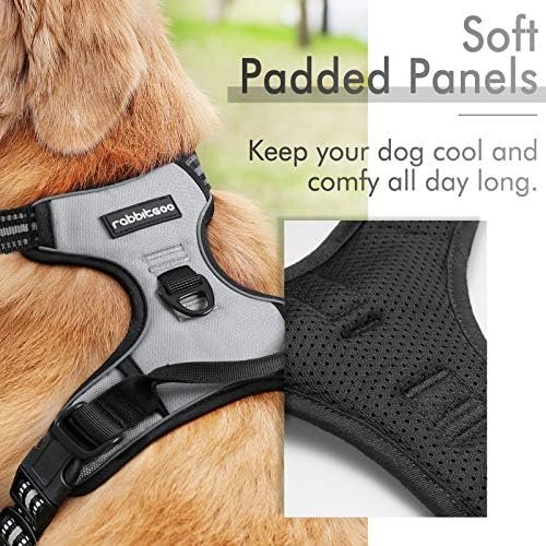 rabbitgoo Dog Harness, No-Pull Pet Harness with 2 Leash Clips, Adjustable Soft Padded Dog Vest, Reflective No-Choke Pet Oxford Vest with Easy Control Handle for Medium Dogs, Grey, M - Image 2