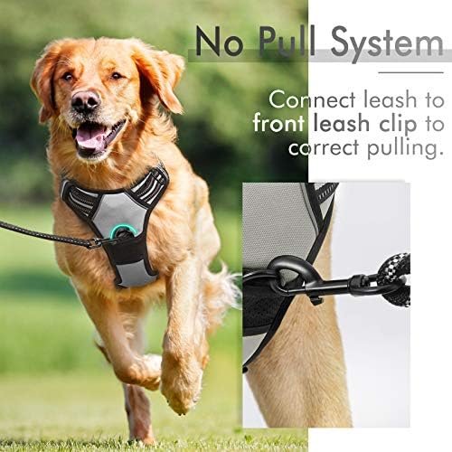 rabbitgoo Dog Harness, No-Pull Pet Harness with 2 Leash Clips, Adjustable Soft Padded Dog Vest, Reflective No-Choke Pet Oxford Vest with Easy Control Handle for Medium Dogs, Grey, M - Image 5