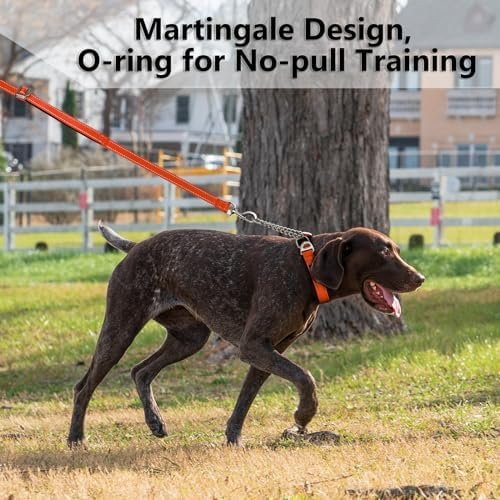 Plutus Pet Martingale Dog Collar with Stainless Steel Chain and Reflective Nylon, Adjustable No Pull Training Collar, for Small Medium, and Large Dogs, Orange, M - Image 4