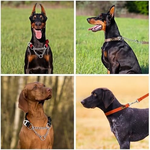 Plutus Pet Martingale Dog Collar with Stainless Steel Chain and Reflective Nylon, Adjustable No Pull Training Collar, for Small Medium, and Large Dogs, Orange, M - Image 7