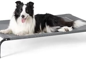 Bedsure Elevated Raised Cooling Cots Bed for Large Dogs, Portable Indoor & Outdoor Pet Hammock with Skid-Resistant Feet, Frame with Breathable Mesh, Grey, 49 inches