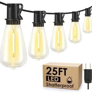 25FT Outdoor String Lights, Patio Lights with 10+1 LED Dimmable Waterproof Shatterproof ST38 Retro Edison 2700K Bulbs for Balcony Yard, Black