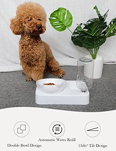 Marchul Cat Bowls, Cat Food Bowls, 15° Tilted Cat Bowl for Indoor Cats, Cat Food and Water Bowl Set, Raised Cat Bowl for Cats and Small Dogs - Image 5