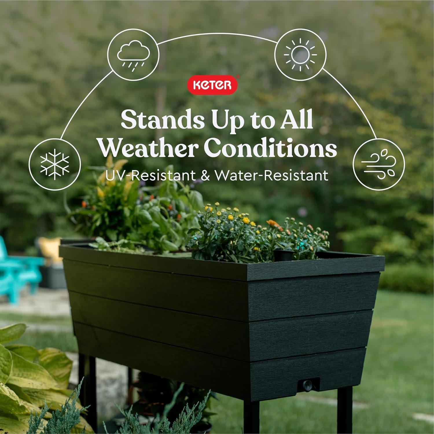 Keter Urban Bloomer 12.7‑Gallon Raised Garden Bed – Elevated Outdoor Planter Box with Self‑Watering Reservoir, Water Gauge & Drainage System, Perfect for Herbs & Vegetables, Dark Grey - Image 3